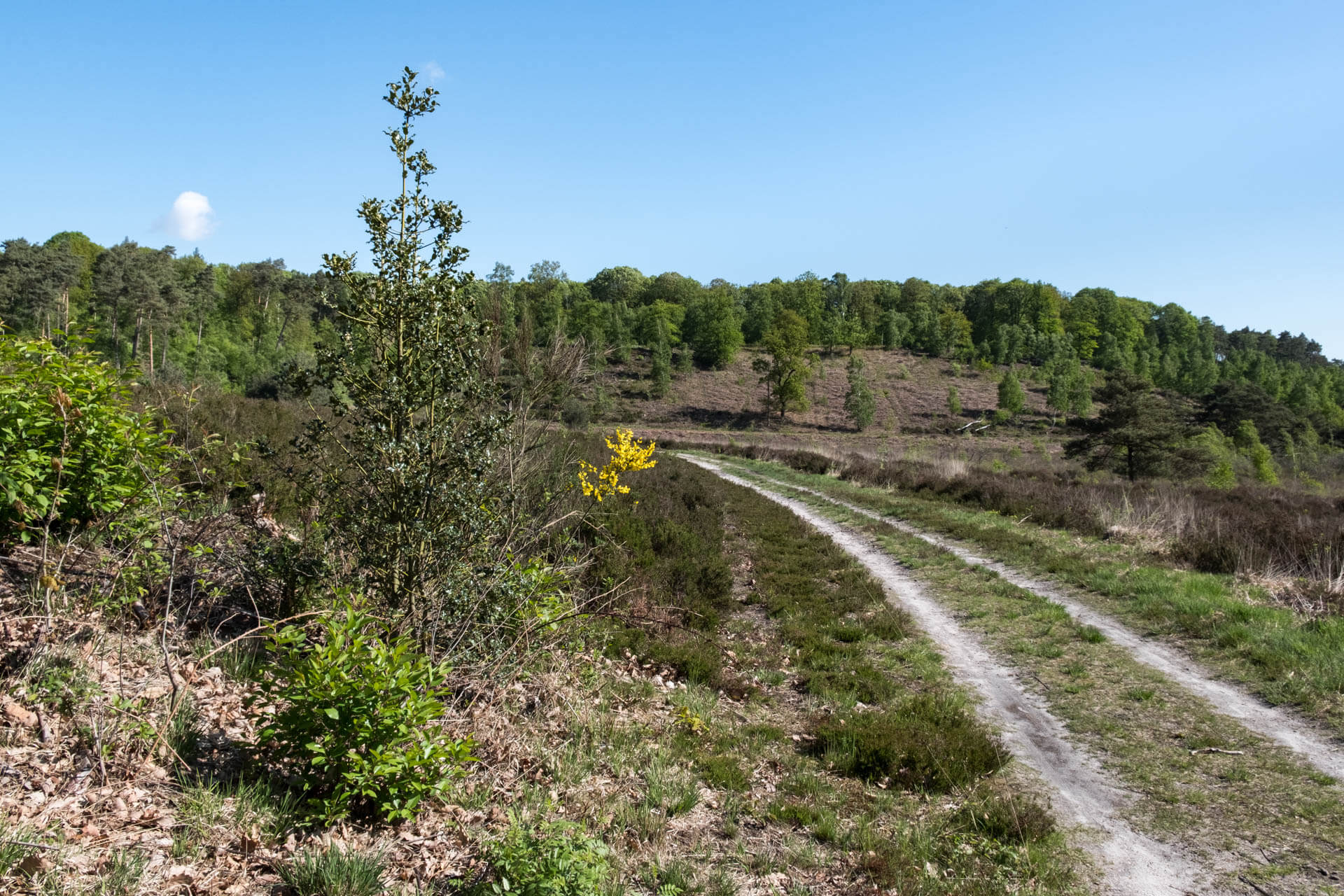 Boswachtertrail